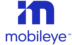 3D Algorithm Team Lead